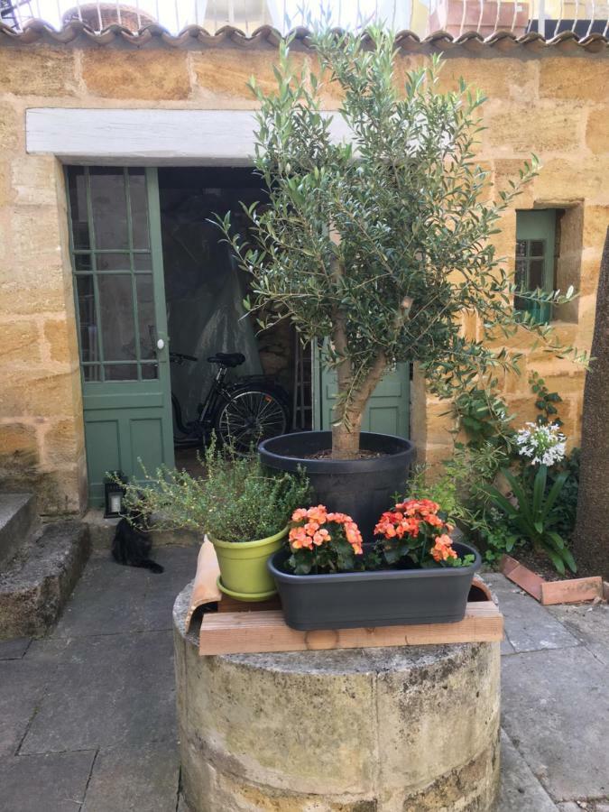 Maison De Maitre Elegia Castillon-la-Bataille Eksteriør billede